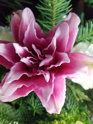 Florist «Forget Me Not Flowers and Gifts», reviews and photos, 113 E 8th St, Tyler, TX 75701, USA