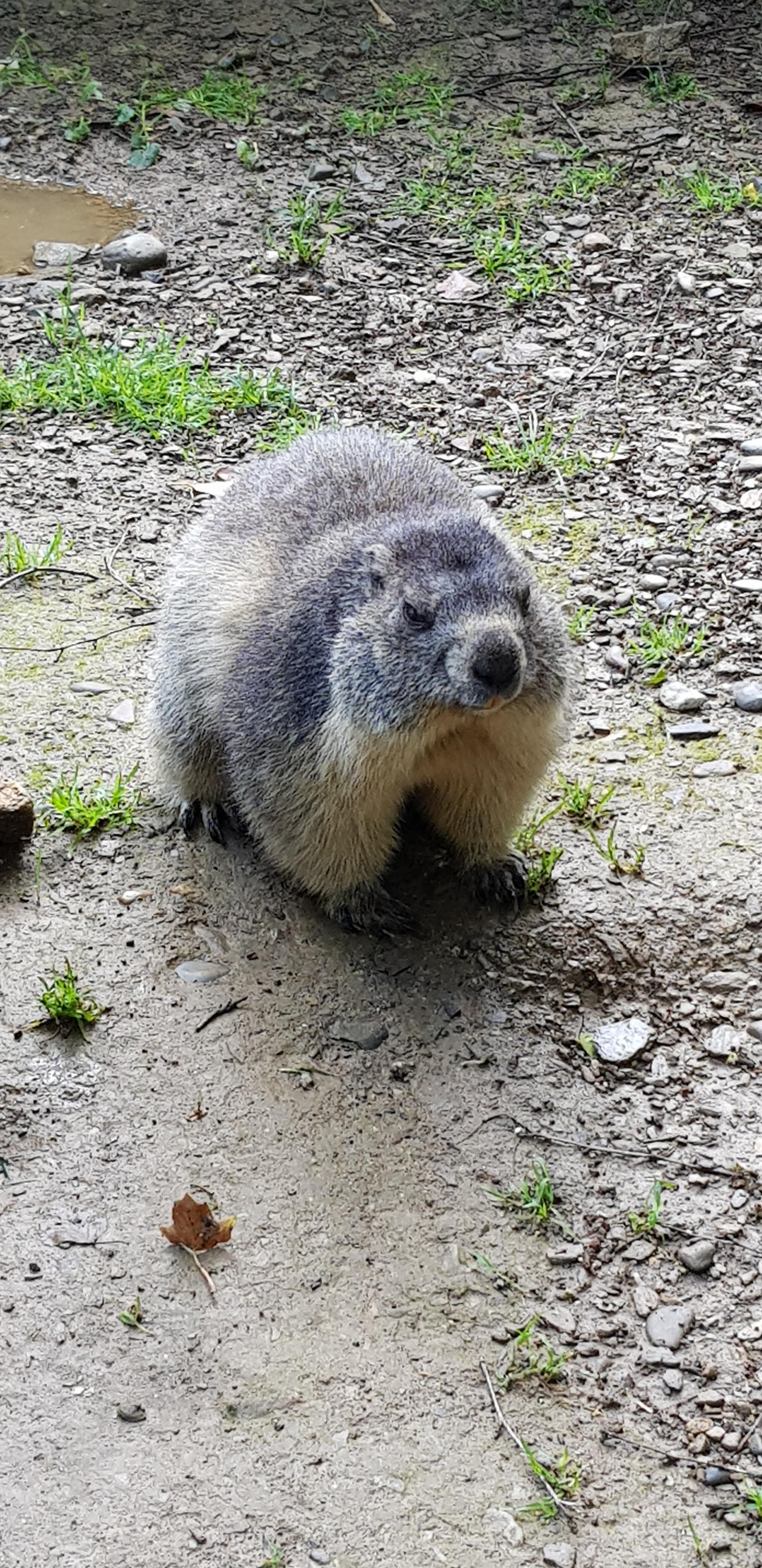 Photo n° 6 de l'avis de Frederic.a fait le 16/06/2023 à 07:23
