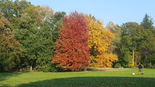 Tourist Attraction «Old Westbury Gardens», reviews and photos, 71 Old Westbury Rd, Westbury, NY 11590, USA