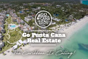 Go Punta Cana Real Estate image
