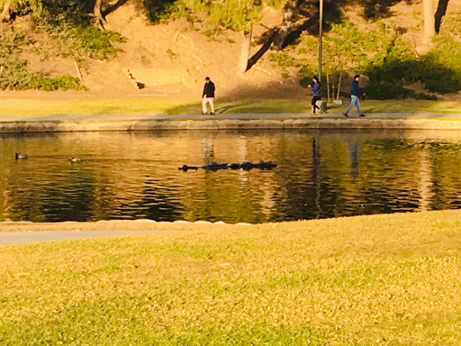 Park «English Springs Park», reviews and photos, 2201 Grand Ave, Chino Hills, CA 91709, USA