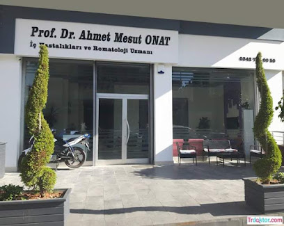 Prof.Dr. Ahmet Mesut Onat - Romatoloji