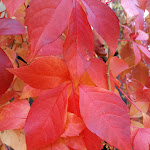 Photo n°3 de l'avis de Francesco.i fait le 21/10/2019 à 06:14 sur le  La Rua Hotel b & b - Pescocostanzo à Pescocostanzo