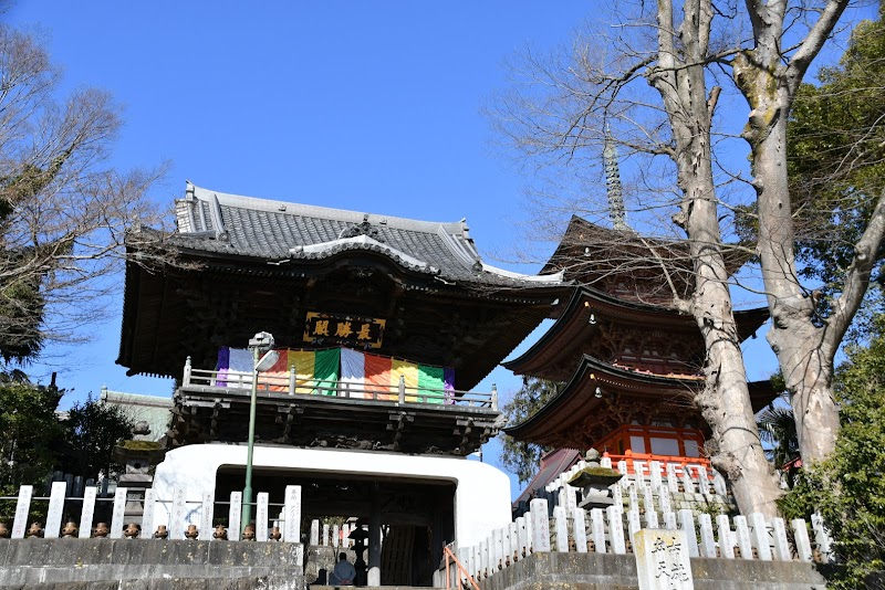 厄除け 布施弁天 東海寺 千葉県柏市布施 仏教寺院 仏教寺院 グルコミ