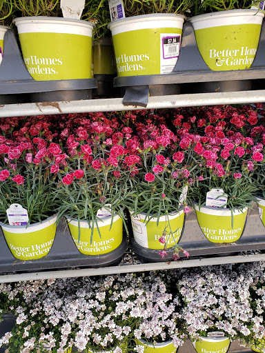 Department Store «Walmart Supercenter», reviews and photos, 303 Fallston Blvd, Fallston, MD 21047, USA