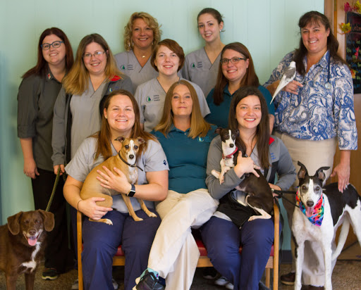 Animal Hospital «Suffolk Animal Hospital», reviews and photos, 1232 Holland Rd, Suffolk, VA 23434, USA