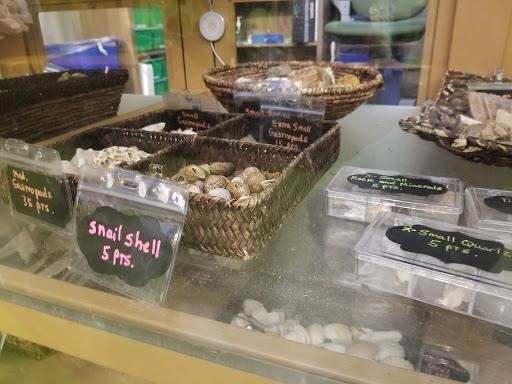 Museum «Museum of Natural Curiosity at Thanksgiving Point», reviews and photos, 3605 Garden Dr, Lehi, UT 84043, USA