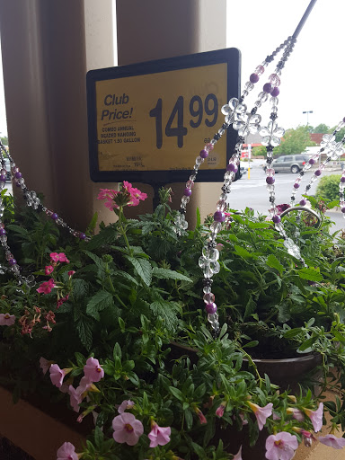 Grocery Store «Safeway», reviews and photos, 3051 Waldorf Market Pl, Waldorf, MD 20603, USA