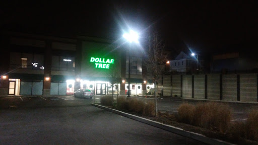 Dollar Store «Dollar Tree», reviews and photos, 912 River St Ste 100, Hyde Park, MA 02136, USA