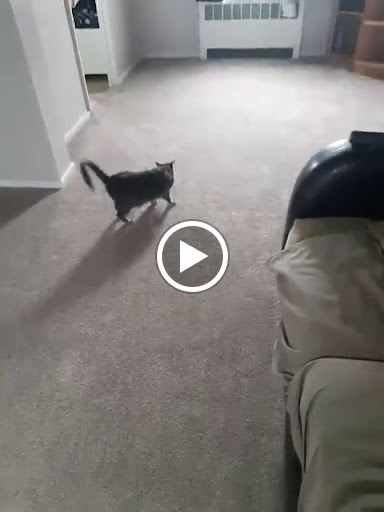 Home Improvement Store «The Home Depot», reviews and photos, 3926 Nazareth Pike, Bethlehem, PA 18020, USA