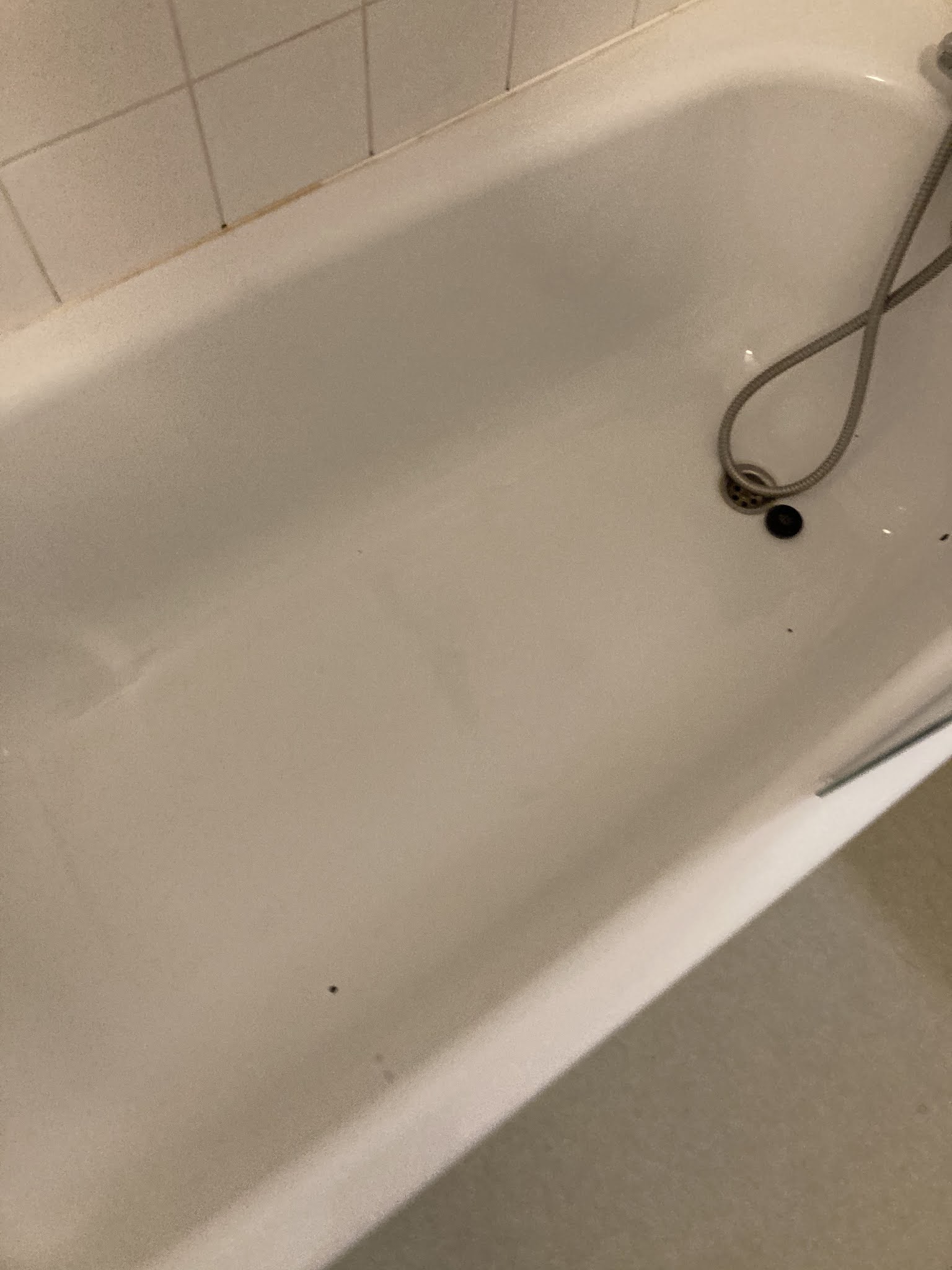 Photo n° 5 de l'avis de Sylvain.. fait le 18/04/2021 à 20:07