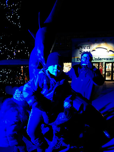 Zoo «Fragile Desert», reviews and photos, 3300 Golf Rd, Brookfield, IL 60513, USA