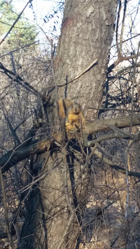 Water Park «Waterford Oaks», reviews and photos, 1702 Scott Lake Rd, Waterford Twp, MI 48328, USA