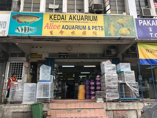 Parrot shops in Kualalumpur