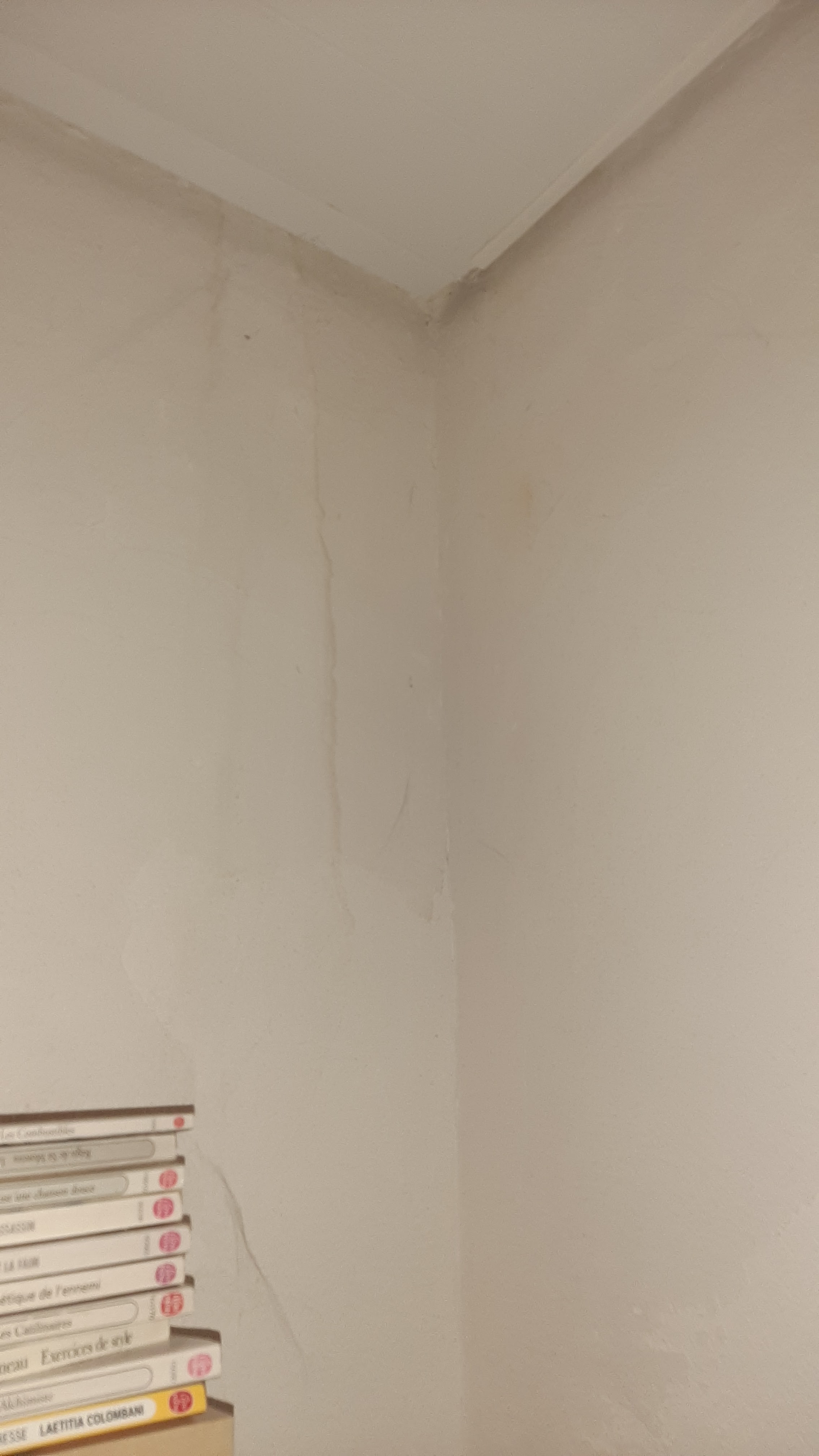 Photo n° 1 de l'avis de Guillaume.u fait le 14/02/2023 à 18:35