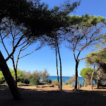 Photo n°1 de l'avis de Ralf.l fait le 23/02/2020 à 03:49 sur le  Sun Beach Bar à Piombino