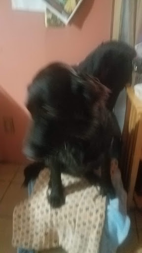 Pet Supply Store «Petco Animal Supplies», reviews and photos, 200 McMahan Blvd, Marion, OH 43302, USA