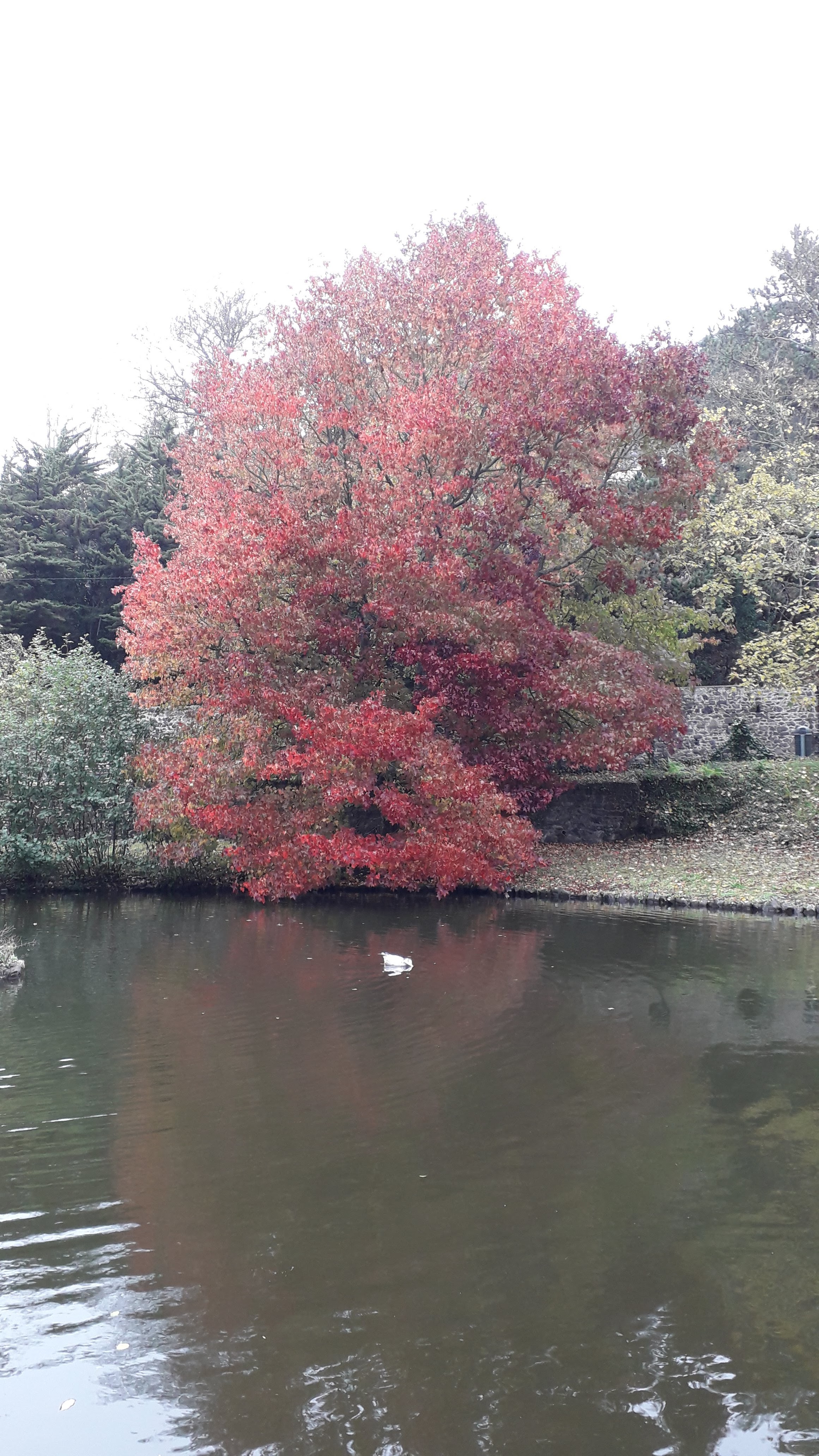 Photo n° 2 de l'avis de Vincent.a fait le 01/11/2019 à 08:48