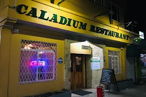 Caladium Restaurant image