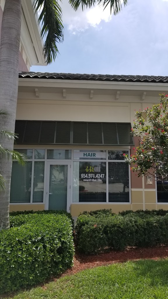 441 4 Hair 33067