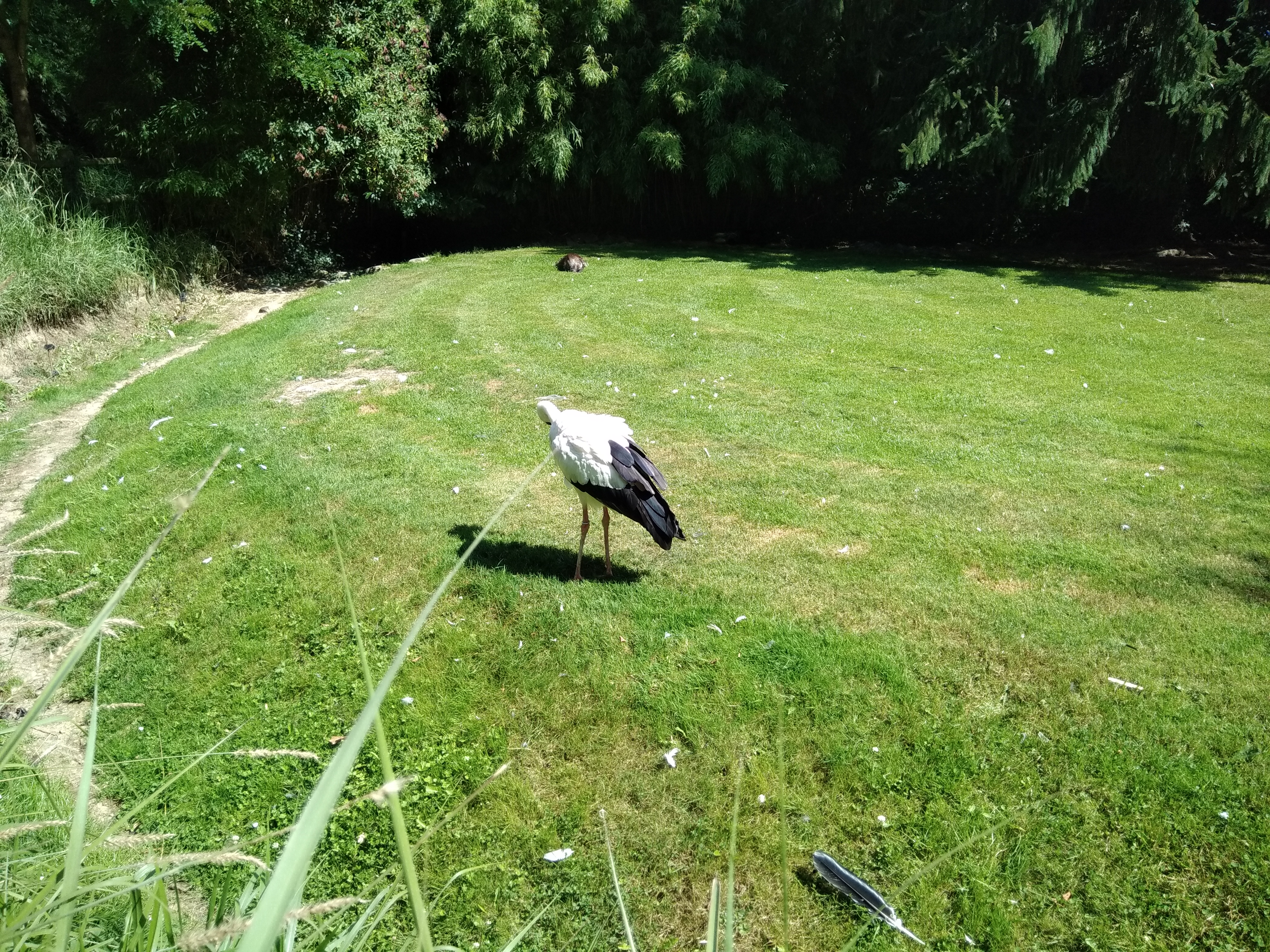Photo n° 44 de l'avis de carine.a fait le 25/08/2019 à 20:31
