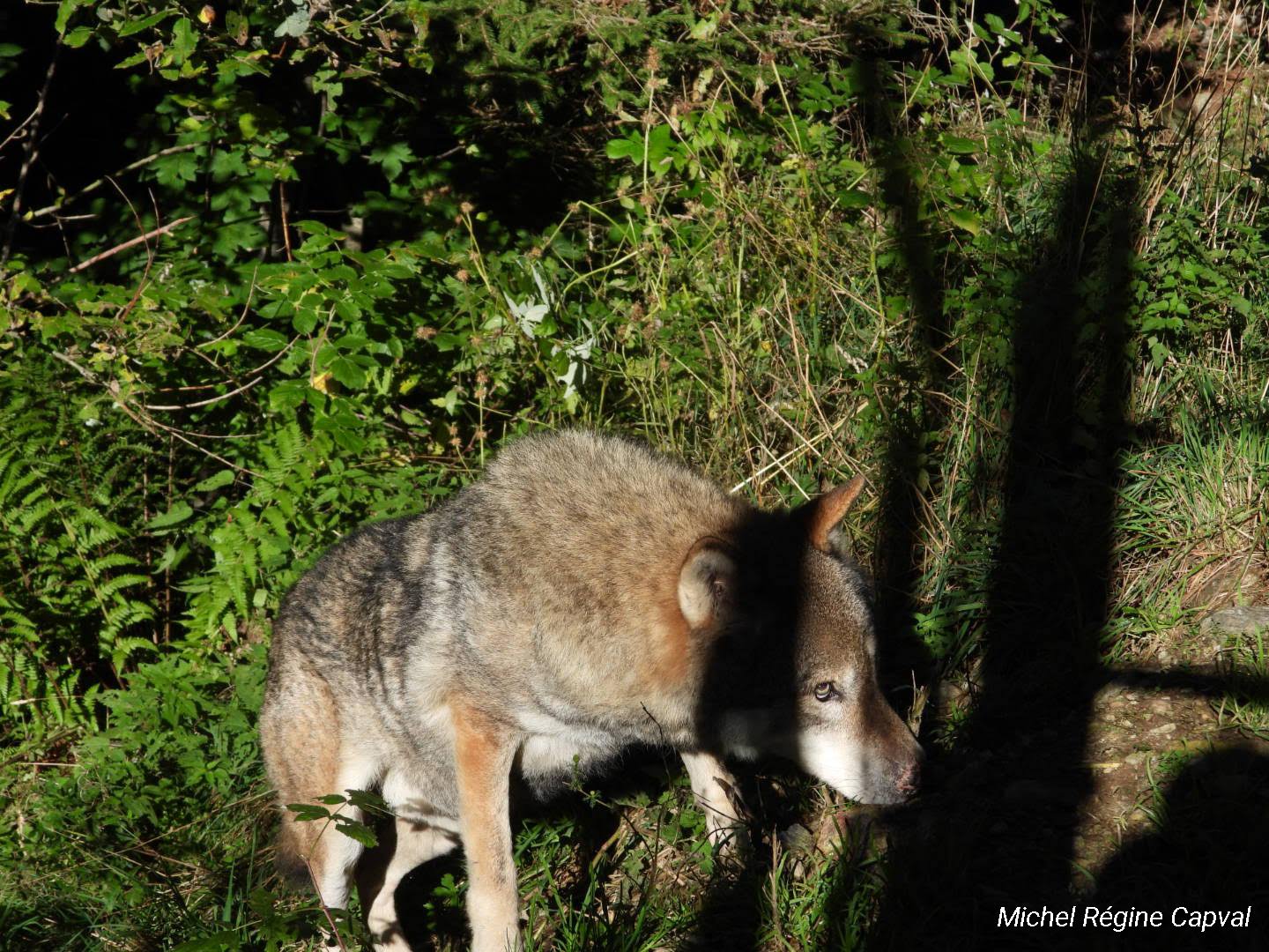 Photo n° 26 de l'avis de michel.a fait le 03/10/2019 à 13:25