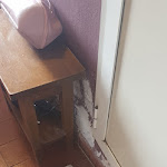 Photo n°6 de l'avis de Francesca.n fait le 15/10/2023 à 17:56 sur le  Albergo Villa Sorriso à Fiesole