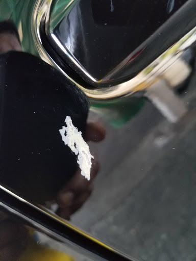 Car Wash «Busy Bee Car Wash (Miami Shores)», reviews and photos, 10550 Biscayne Blvd, Miami, FL 33138, USA