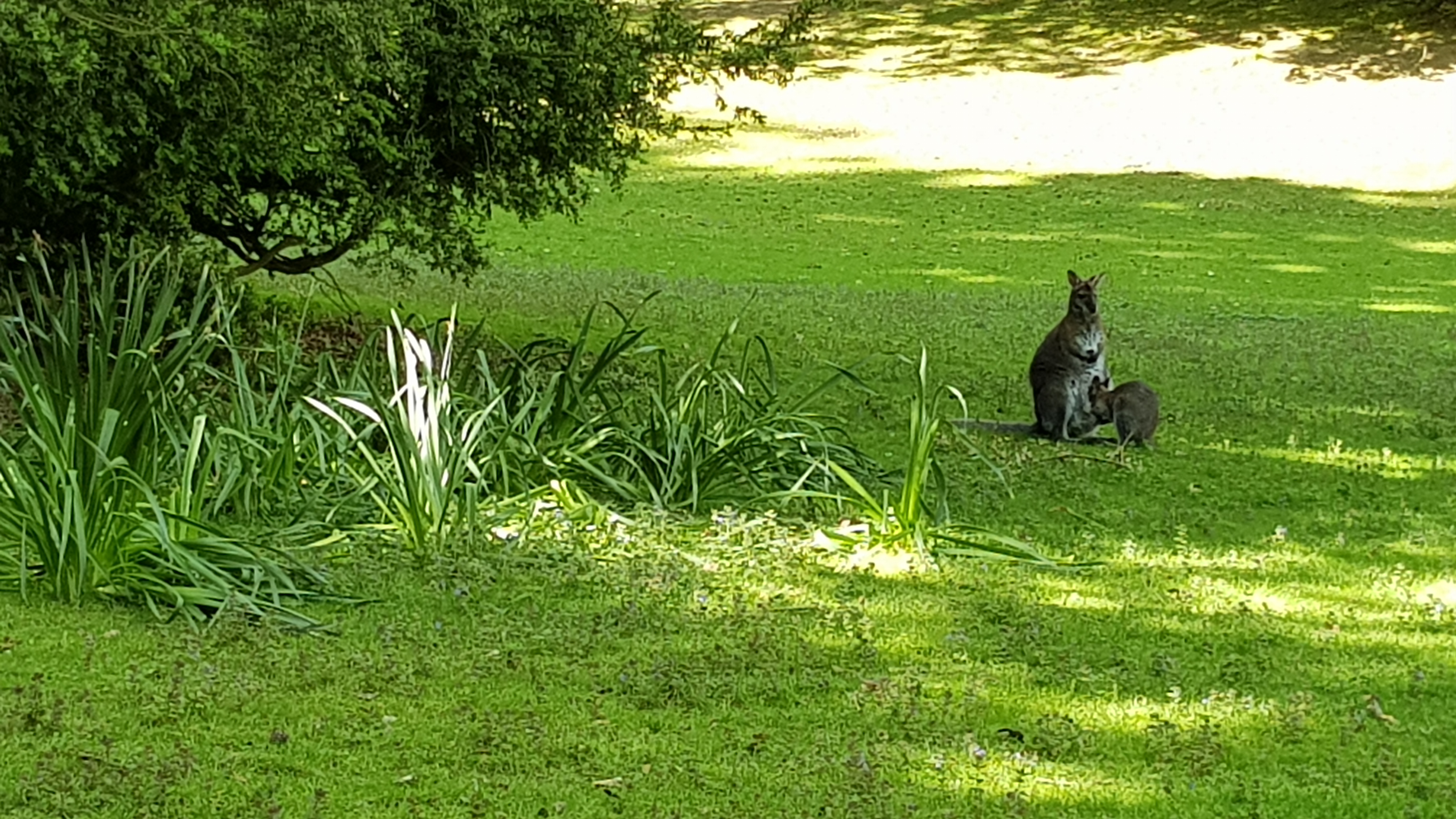 Photo n° 12 de l'avis de Tirlipinpon.u fait le 12/05/2019 à 18:48