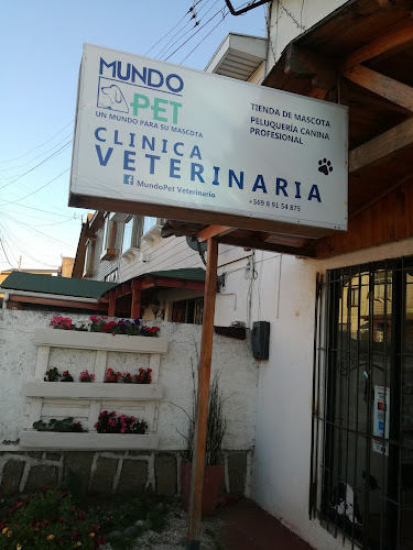 Opiniones de clinica Veterinaria Mundopet en San Antonio - Médico