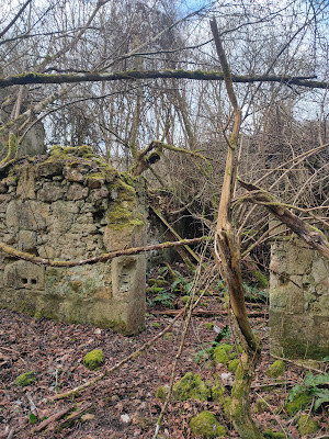 Ruines de la ferme de Grainval à Frouville