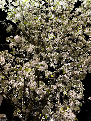 Grocery Store «Hannaford Supermarket», reviews and photos, 255 Warner Blvd, Taunton, MA 02780, USA