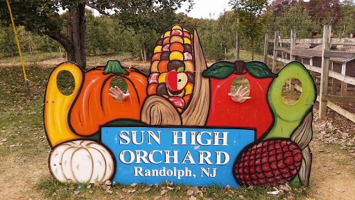 Farm «Sun High Orchards», reviews and photos, 19 Canfield Ave, Randolph, NJ 07869, USA