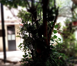 Fagioli restaurant photo