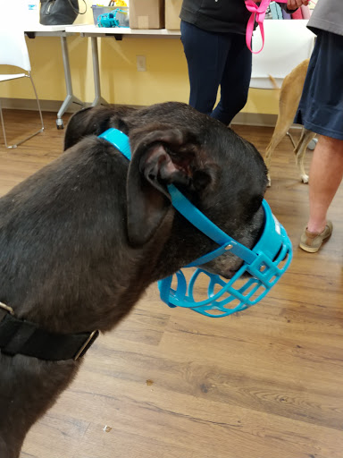 Pet Supply Store «PetPeople», reviews and photos, 3330 Washtenaw Ave, Ann Arbor, MI 48104, USA