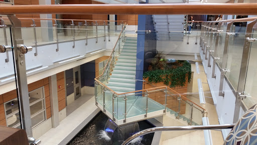 Technical School «New England Institute of Technology», reviews and photos