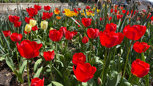 Book Store «The Duck Store - Campus», reviews and photos, 895 E 13th Ave, Eugene, OR 97401, USA