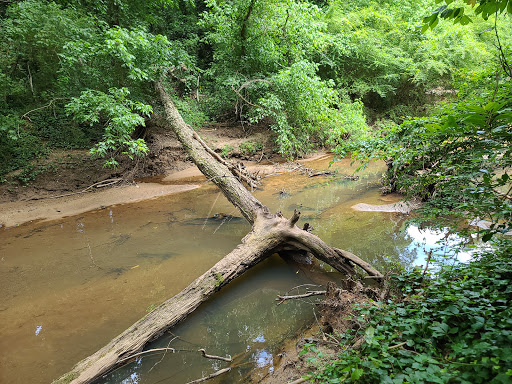 Nature Preserve «Clyde Shepherd Nature Preserve», reviews and photos, 2580 Pine Bluff Dr, Decatur, GA 30033, USA