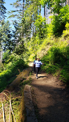 Tourist Attraction «Fairy Falls», reviews and photos, Wahkeena Trail #420, Corbett, OR 97019, USA