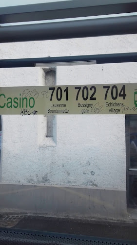 Rezensionen über Repassage du Casino in Monthey - Wäscherei