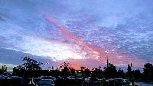 Youth Organization «YMCA», reviews and photos, 9715 Lakewood Dr SW, Lakewood, WA 98499, USA