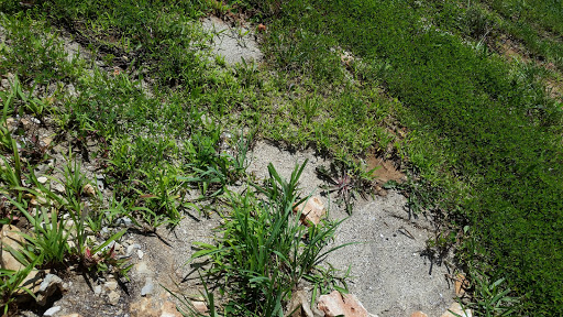 Tourist Attraction «Indiana Caverns», reviews and photos, 1267 Green Acres Dr SW, Corydon, IN 47112, USA