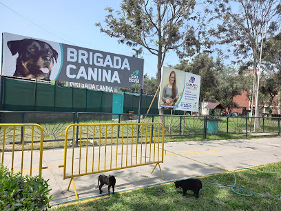 Brigada canina