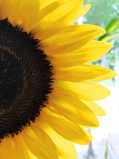 Florist «Battiste LaFleur Galleria», reviews and photos, 825 E Long St, Columbus, OH 43203, USA