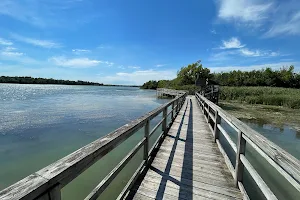 Mel Swart Lake Gibson Conservation Park image