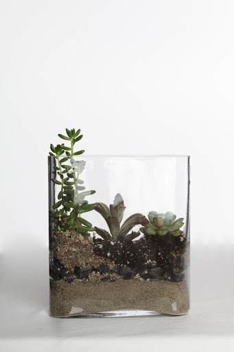 Florist «Flowers in Flight», reviews and photos, 1413 NE Alberta St, Portland, OR 97211, USA