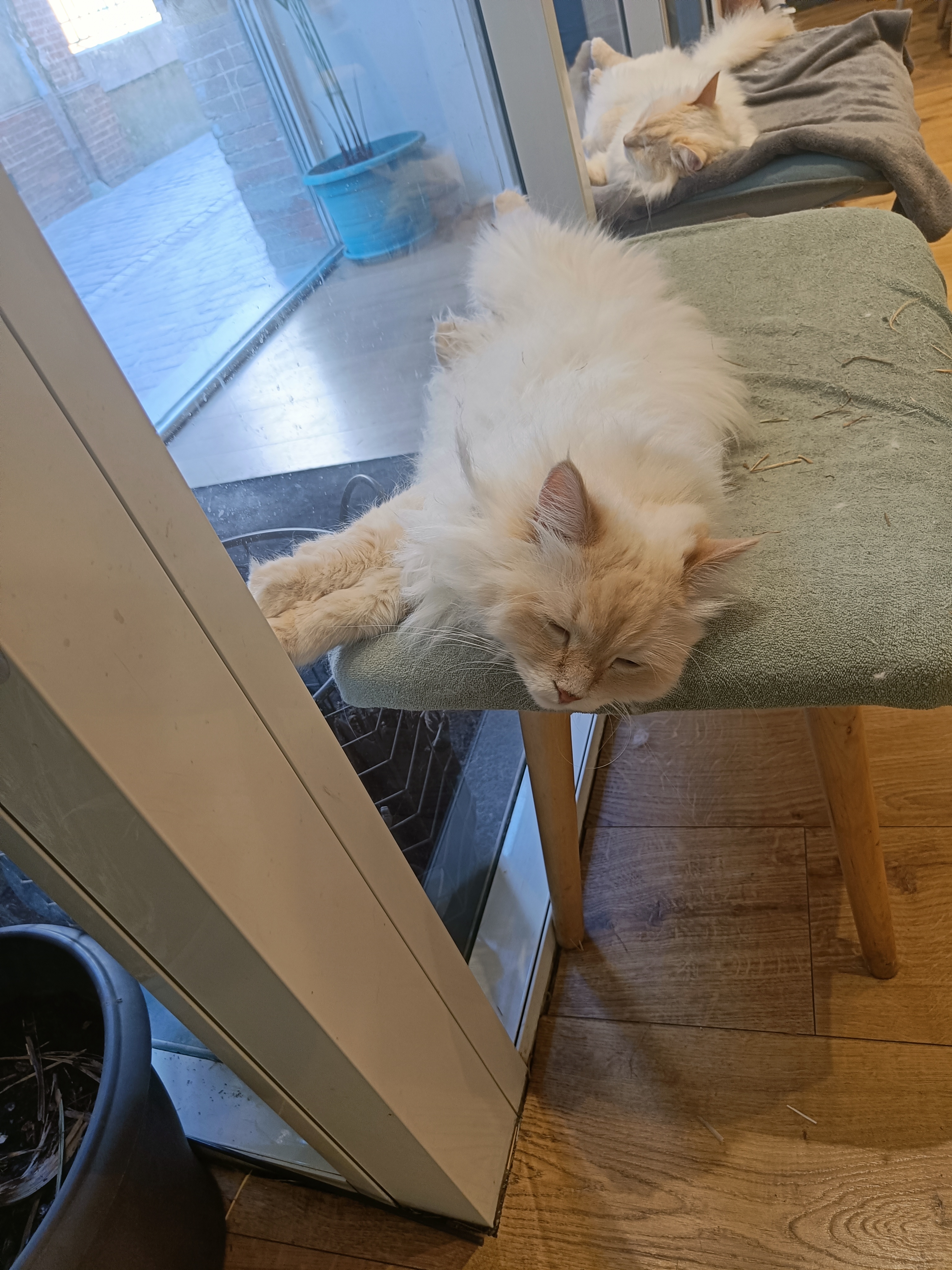 Photo n° 2 de l'avis de Thibaut. fait le 20/08/2023 à 15:05