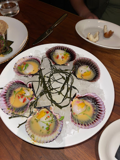 Scallop Crodu