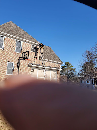 Pest Control Service «Attic Kings», reviews and photos