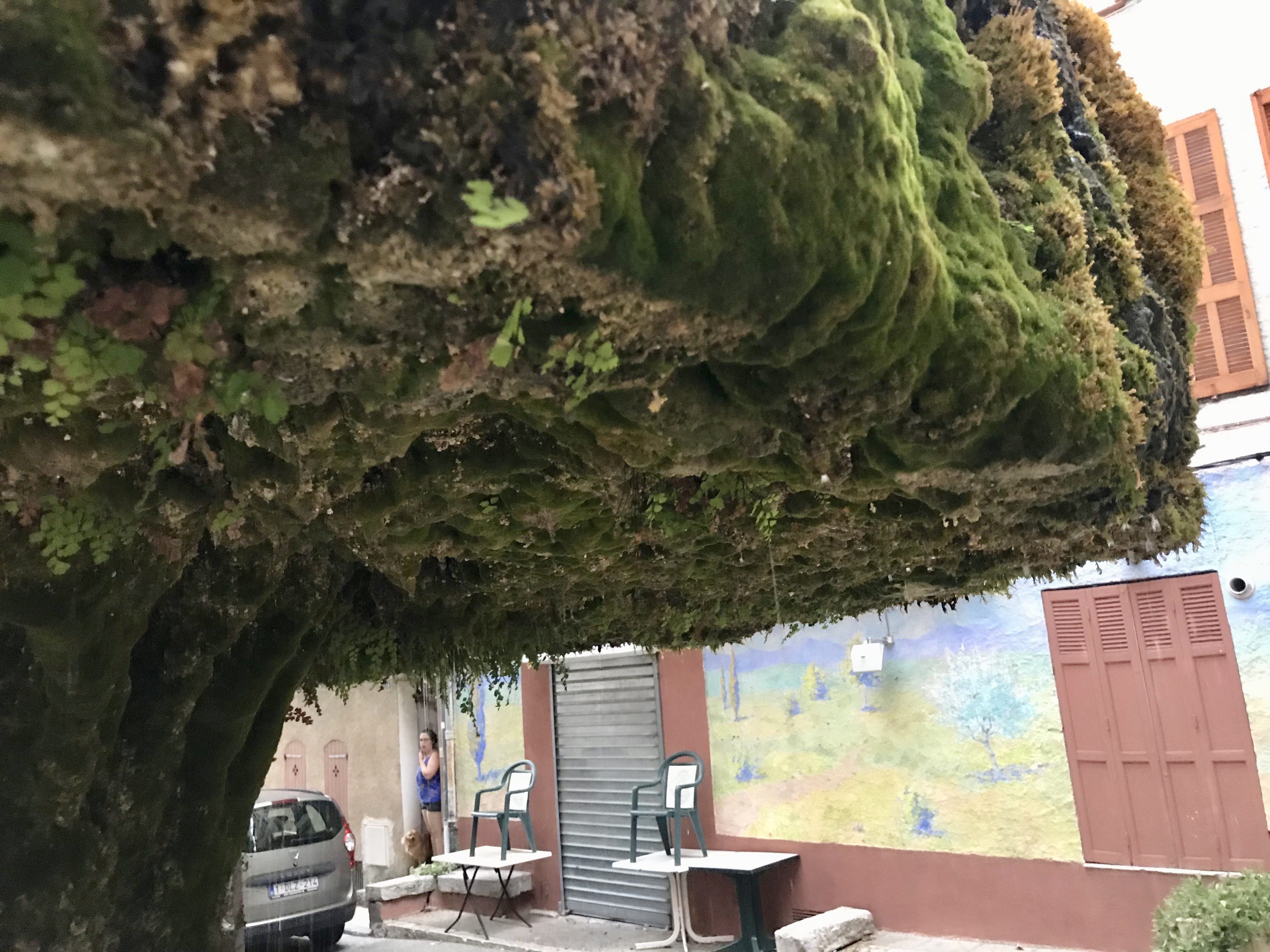 Photo n° 8 de l'avis de Edward. fait le 02/04/2018 à 19:13